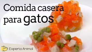 Comida casera para gatos - Comida húmeda para gatos con pollo