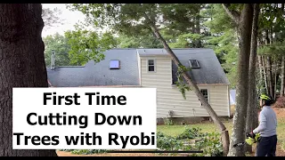 First Time Cutting Down Trees with RYOBI 40V HP Brushless Chainsaw RY405010BTL