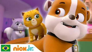 Patrulha Canina | Resgate da gatinha | Nick Jr. em Português