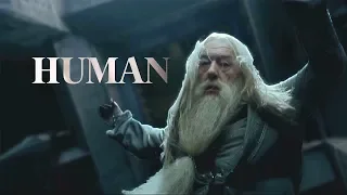 Harry Potter | Human