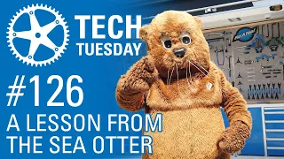 A Lesson from the Sea Otter | Tech Tuesday #126