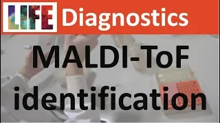 MALDI-ToF for identifying yeasts & moulds