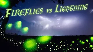 FIREFLIES vs LIGHTNING - A Magical Evening