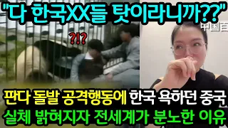 "이거 다 한국XX들 때문이라니까??" 한국서 보낸 판다 돌발행동에 한국 욕하던 중국, 실체 밝혀지자마자 전세계가 분노한 이유 (해외반응)