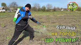 Знищення пирію на городі!!!Боротьба зі злаковими бур’янами!!!Як позбутися бур’яну?🌱