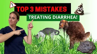 Top 3 Mistakes You May Be Making When Treating Cat & Dog Diarrhea | Holistic Vet Advice