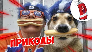 ЗАСМЕЯЛСЯ - ПОДПИСАЛСЯ! | FUNNY MOMENTS 2023 | 613 СЕКУНД СМЕХА! | #345