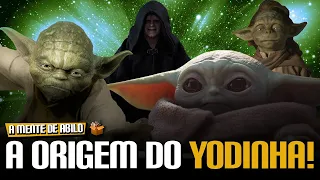 A VERDADEIRA ORIGEM DO BEBÊ YODA! | A MENTE DE ABILO