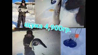 Щука на жерлицы. Зимняя рыбалка. Тобол.