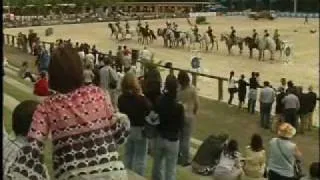 III Feira do Cavalo de Ponte de Lima - 2009 | Parte 2