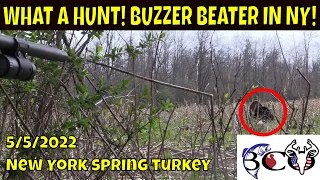 cinco de mayo longbeard at 17 steps! | stevens 301 turkey | bco hunts |