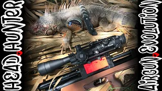 Shooting Invasive Iguanas | Monster Iguana Hunting | Airgun Evolution