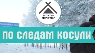 В путь-палатку - По следам косули / Выпуск 11