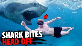 3 Animal Attacks Too DISTURBING For YouTube!