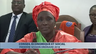 Ouverture de la 1ère session ordinaire 2018 au Conseil économique et social