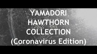 Yamadori Hawthorn Collection *In Lockdown* (Mame Bonsai Forest part 1 )