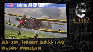 Ан-2М, Hobby Boss 1/48, обзор модели