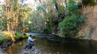 Late Season Fly Fishing | Steavenson River