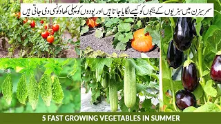 7 Fast Growing Summer Vegetables in pot | Garmiyo k Seeds Ko kab Laga Sakte Hai