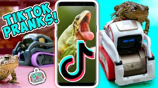 12 HILARIOUS TikTok Pranks: Vector PRANKS Cozmo Robot