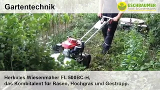 Herkules Wiesenmäher FL 500BC-H, das Kombitalent für Rasen, Hochgras und Gestrüpp.
