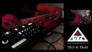 GVZ - ELECTRON - Behringer TD-3 & Roland TR-6S - Live