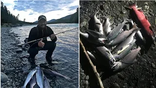Аляска часть 4. Рыбалка на реке "русской". Нерка или Sockeye salmon.
