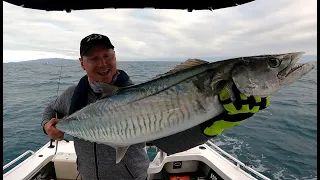 How to catch Spanish Mackerel Townsville  Queensland
