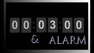 3 Minute Countdown Timer and 15-Second Alarm