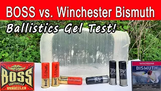 BOSS vs. Winchester Bismuth | Ballistics Gel & Pattern Test