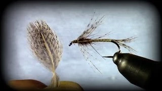 Fly Tying Techniques: Hungarian Partridge Feathers