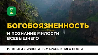 Богобоязненность и познание милости Всевышнего | Шейх Абу Яхья