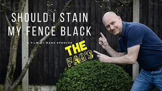 Should I Stain My Fence Black - The FAQ's