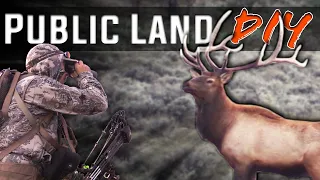 Closing the distance! Bow hunting Montana elk (Eastmans' Hunting TV)