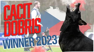 CACIT Dobris 2023 // Winner // Working-Dog