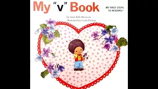 My V Book