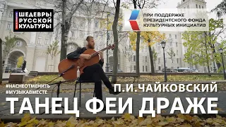 П.И.Чайковский "Танец Феи Драже", Третье видео проекта #ШедеврыРусскойКультуры #НАСНЕОТМЕНИТЬ