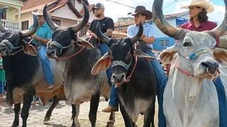 ENCONTRO DI CARREIROS EM POÇO FUNDO MG