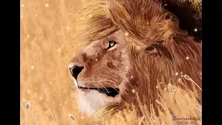 Speed Painting The Lion