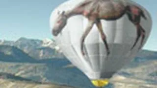 Man Who Crossed US In Balloon Only Talks About Horse Abuse