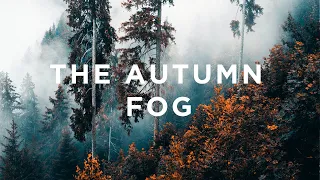 AUTUMN FOG | DJI Mavic Air 2 | Cinematic 4K Video