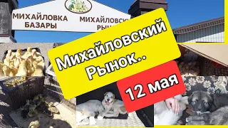 Караганда. Михайловский рынок (птичий) 12 мая 2024г.