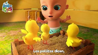 Los Pollitos Dicen Pío Pío - Vaca Lola - Canciones Infantiles - Bebés - Divertidas