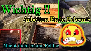 Imkern im Februar, wichtige Arbeiten Ende Februar an die Bienen