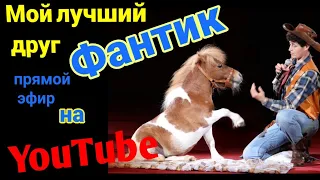 Минихорс Фантик .Самый умный пони . CIRCUS mini-horse.Pony in the circus .