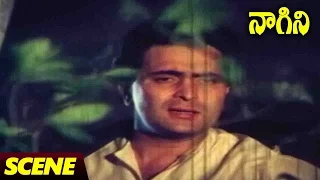 Rishi Kapoor Nice Scene || Naagini Telugu Movie || Rishi Kapoor, Sri Devi