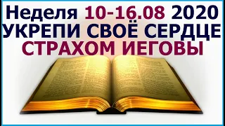 Неделя 10 -16 августа 2020 г.: о важности страха пред именем Творца