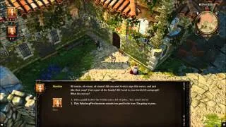 Divinity Original Sin Get the First Two Companions