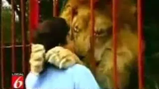 lion hugs women