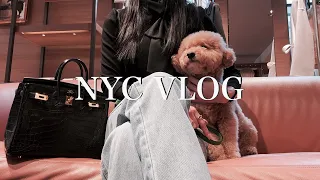 Living in New York | Let’s Shopping 🛍️ | Finished Moving | Hermès | Jewelry recommendation